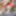 Surrounded by red roses, Oxana Chic exposes her perfect breasts