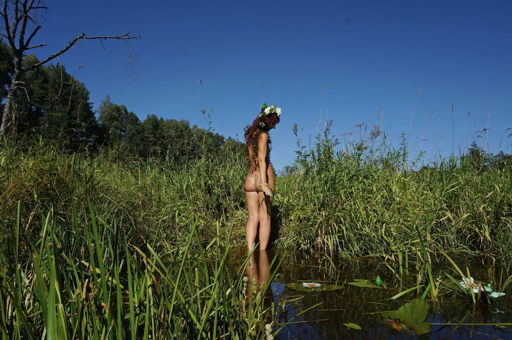  In Pond with Waterflowers 2 #21