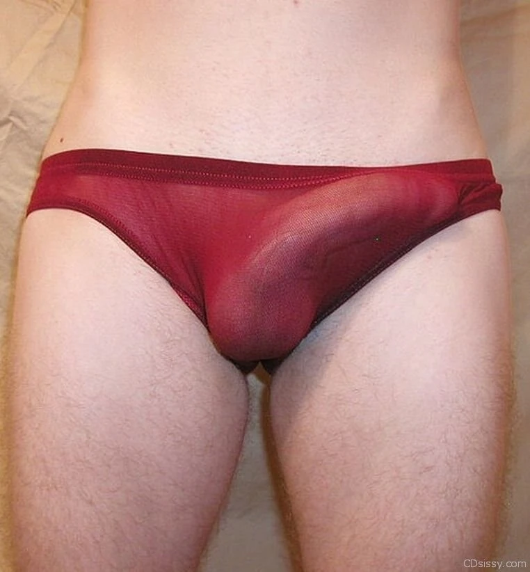 More sheer panties 