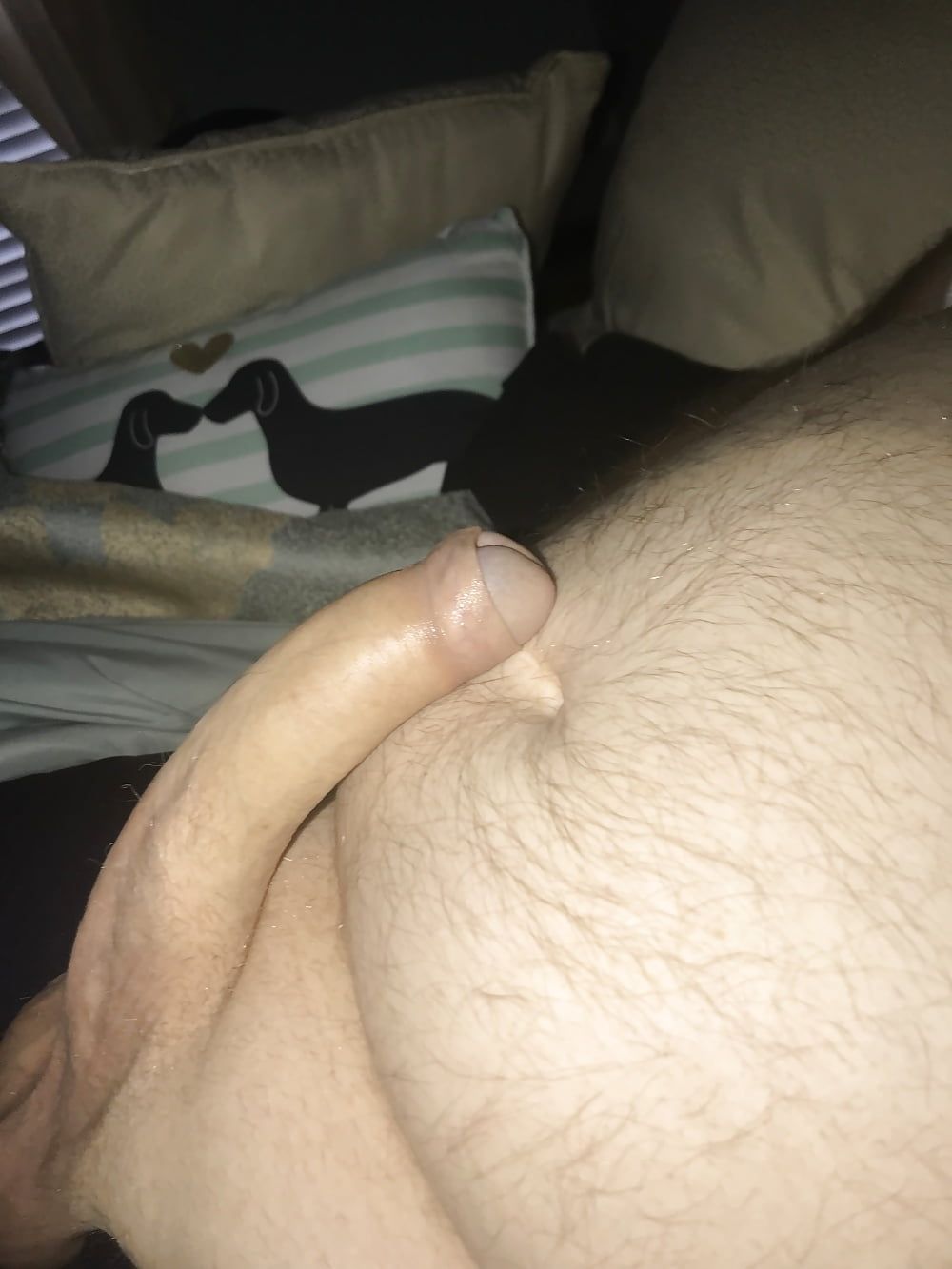 Big Dick #20