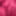 Omnigender Pink Blush BBTS
