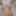 Real Hot Nudes OF Arab Slut, Ass, Arab Pussy And Muslim Tits