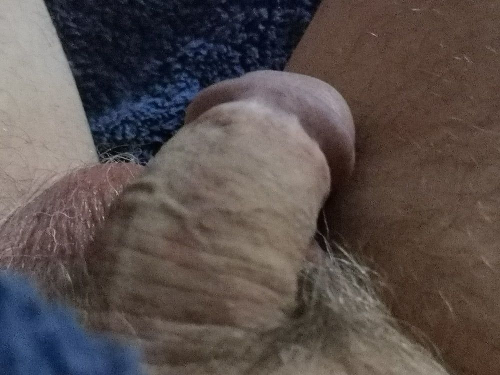 Cock #4