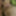 Anal fucked, cumshot in her mouth #28