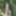 Naked in the forest #2