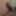 Selfies and video-screenshots