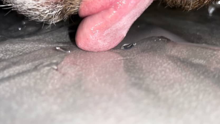 Precum and cum pics with me eating both #8