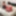 10-22-2021 WEEKLY Video Update to DoggVision VIP Mbrs Area #26