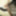 Photo 2016c #9
