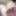 Liisa fucks busty lesbo Lavender