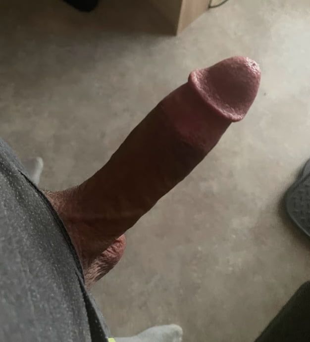 Pictures of my cock #4