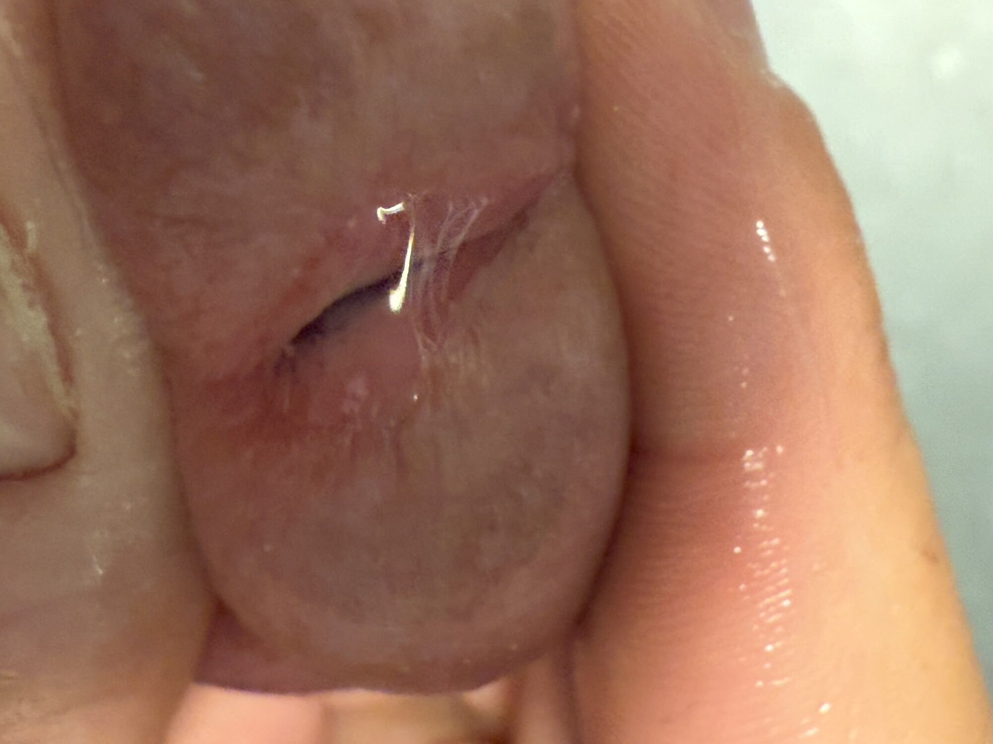 Precum-Time #4