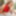 TRANSVR: Got Milf?