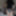 JANUARY 2024 SHOOTS