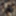 FILMSTRIP PT 22