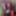 Free Evelyn Photos