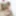 Ai Minami :: Debut Vol.72 - CARIBBEANCOM #6
