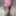 Shemale Bubble Butt In Mini Skirt Shows Big Clit and Huge Ti