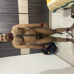 Male slave dog for women. 