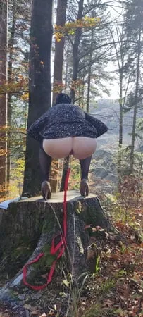 my anus on leash want to see more         