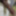 Black dick, Need female co partner  #3