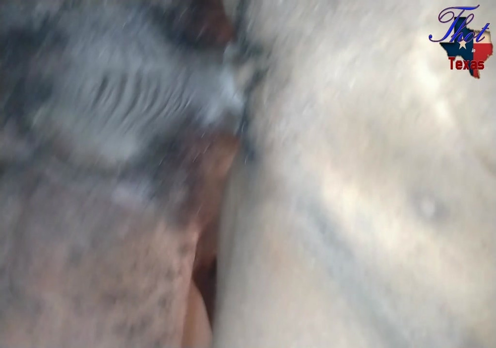 Ass n Pussy #50