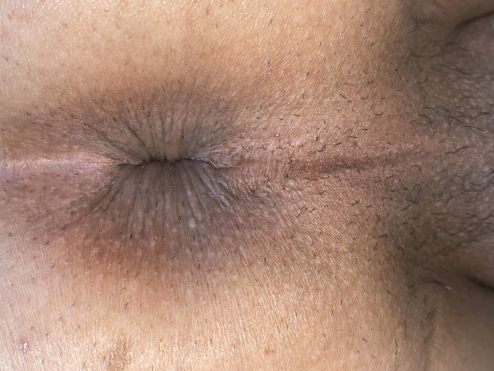 Close-up of a man's anus #56