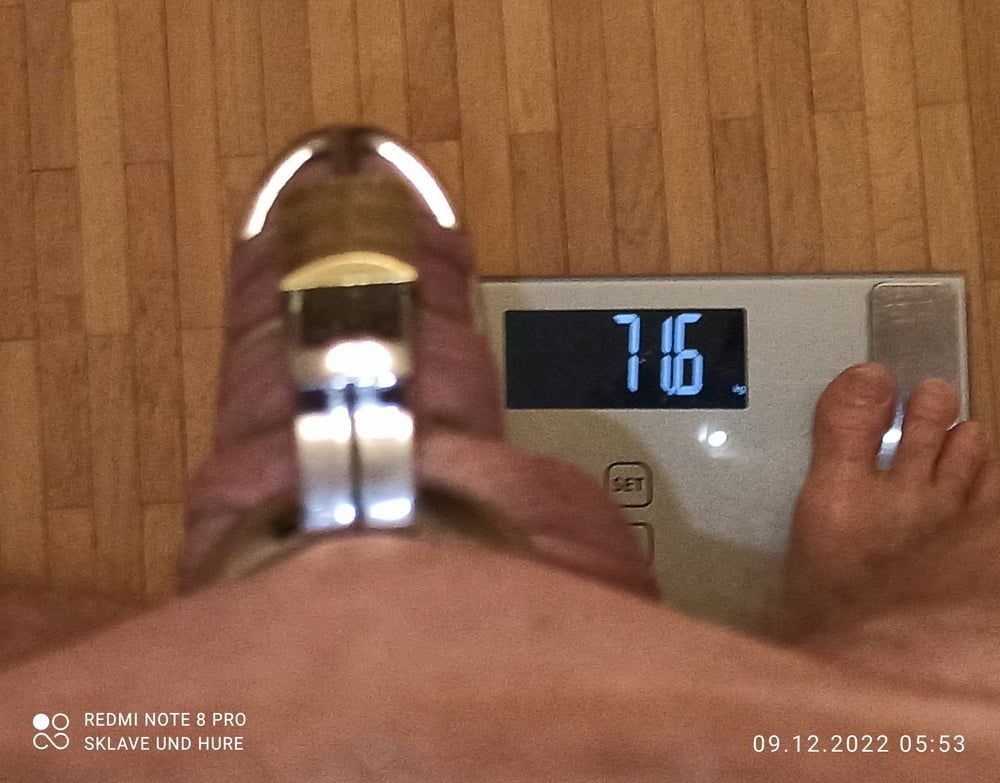 mandatory weighing and cagecheck of 09.12.22 #4