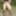 Doğada ateşli orta yaşlı seksi kadın
