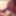 HOT PICTURES TAKEN LIVE ON SET OF COCK CRAVINGS