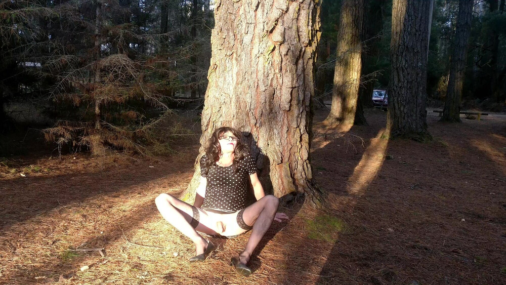 Crossdress Roadtrip - Pine Forest #16
