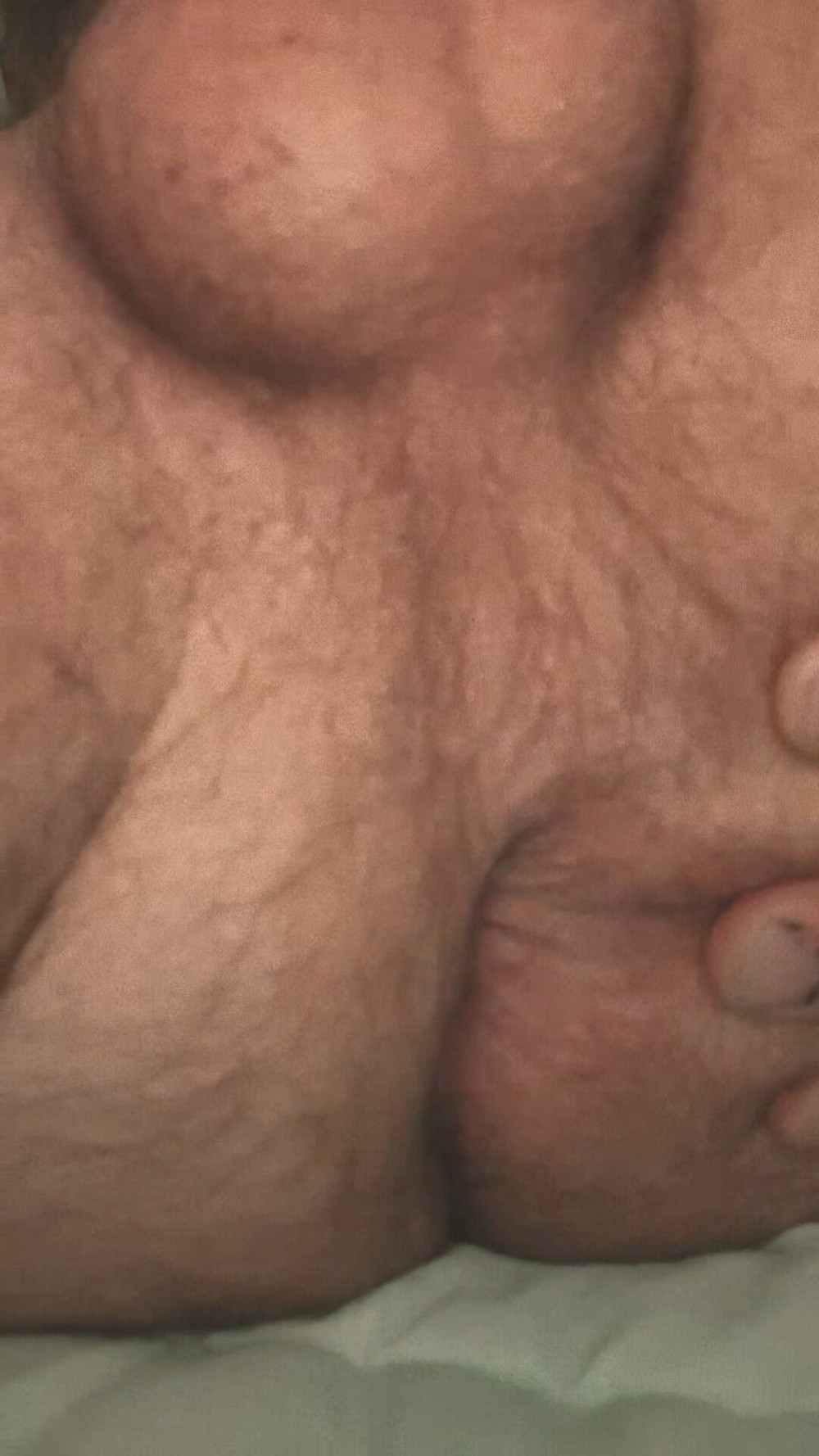 A new round of cock profile and some...  #18