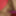 Annadevot: Too many dildos part 1 #9