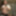 The long bath series teaser #3