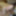 Dec 3 WEEKLY Video Update to DoggVision VIP Members Area  #8