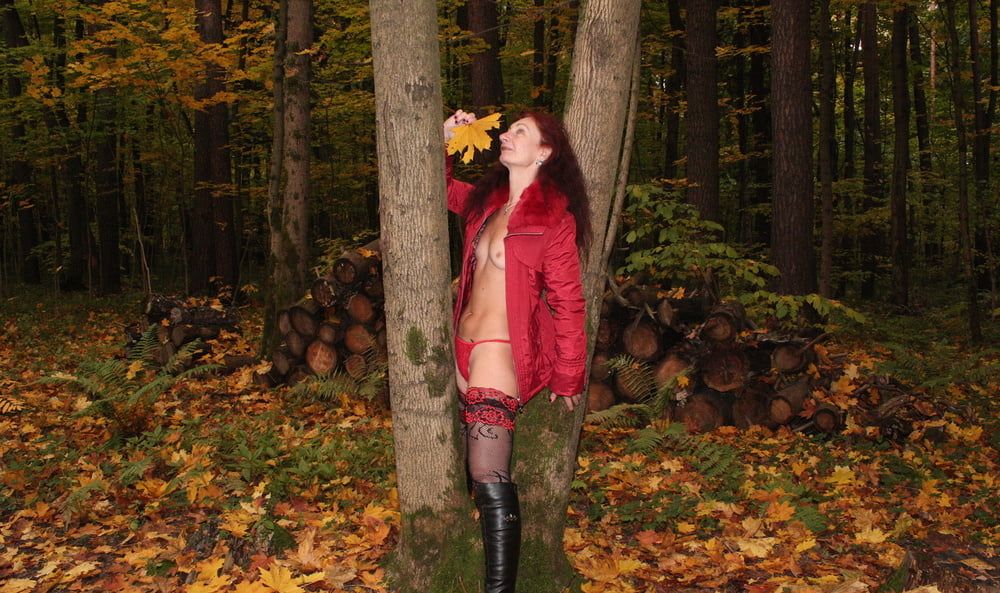 Red Autumn 5 #8