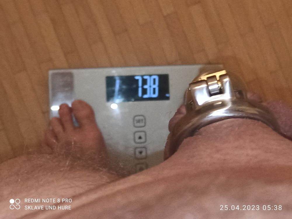 weighing cagecheck 25.04.2023 #37