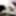 Gif Jesssyts