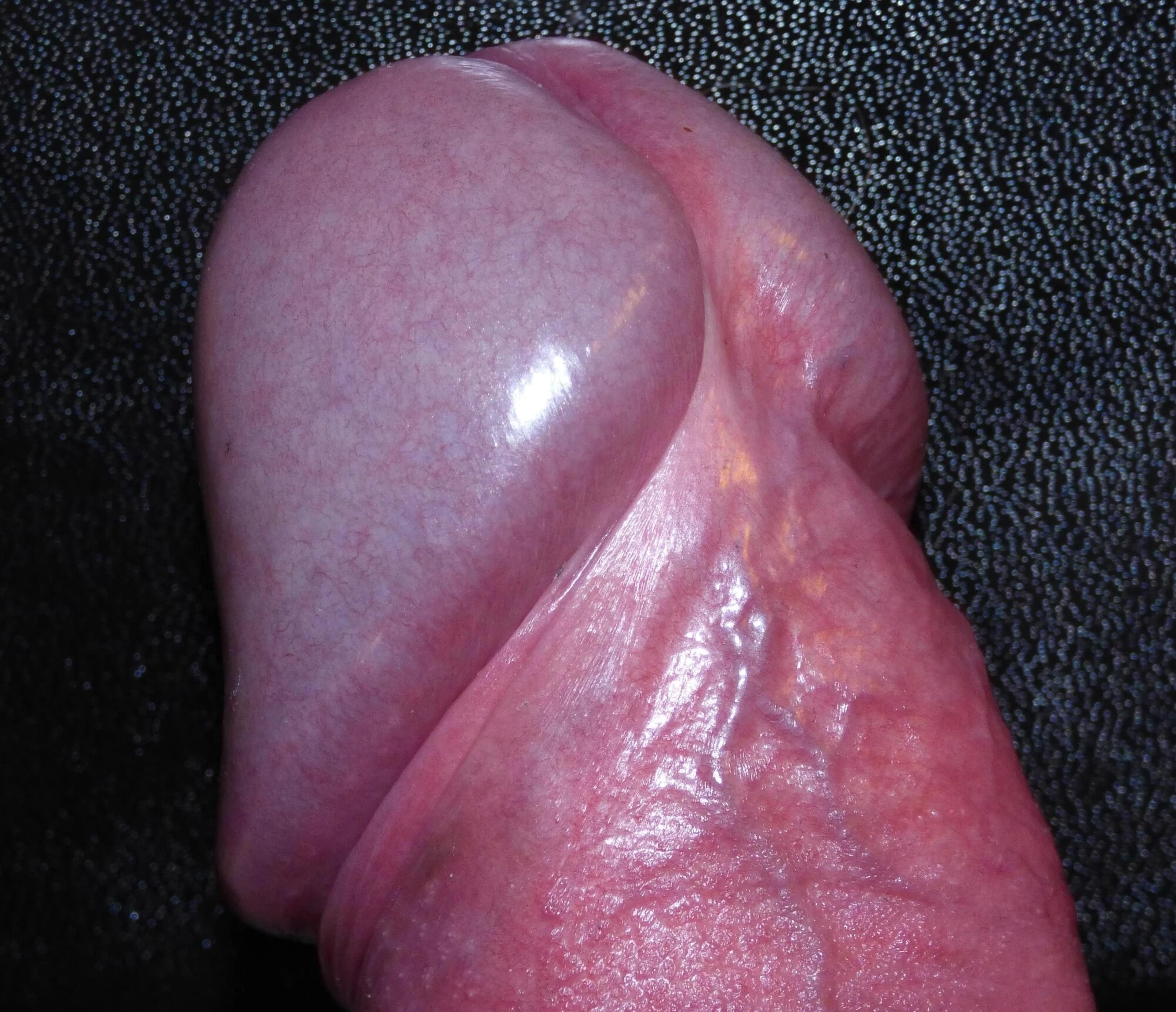Cock
