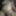 ヌード写真