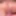🧿EXTREME CLOSE UP: Prettiest face girl agreed for tight puss