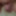 more close up pics  #2