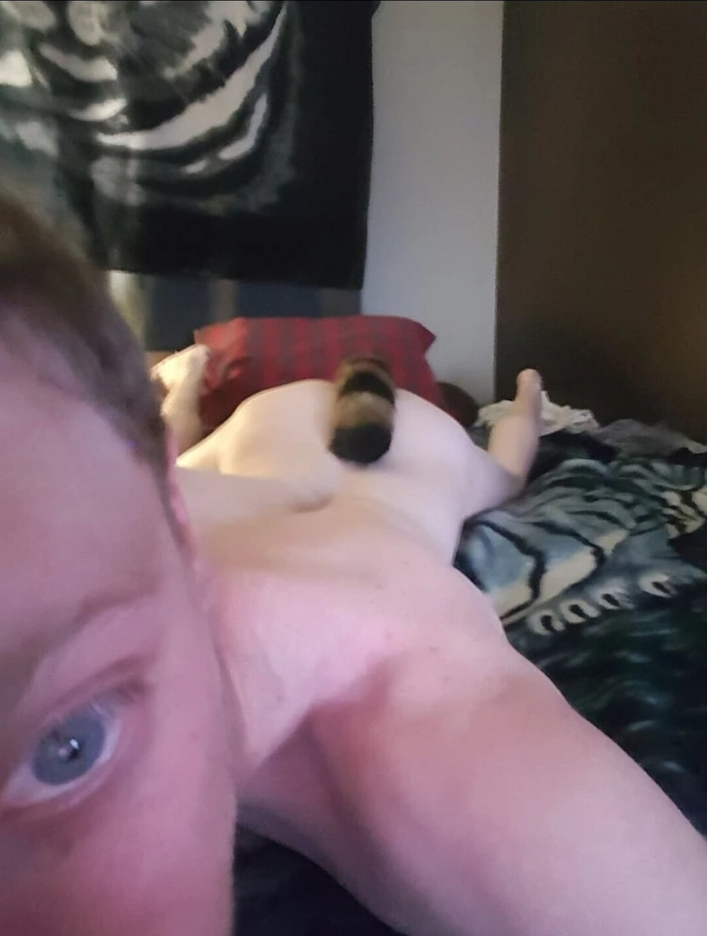 Butt Plug with fox tail #4