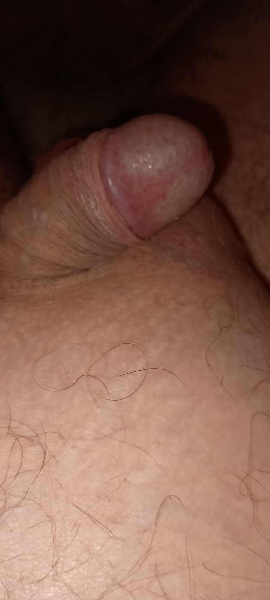 my cock