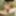 Amateur BBW MILF Thick Hairy Pussy Big Tits Slut Girlfriend #8