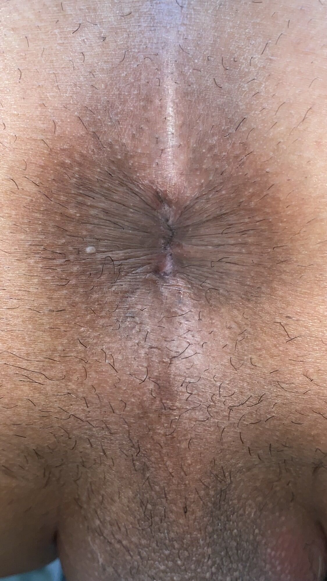 Close-up of a man's anus #56