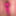 Joanie - Hot Pink Catsuit
