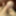 Close-Up Highly Detailed and Intimate Dick Pics