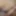 My besti small cock