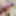 Cock, insertion, cumshot  #4